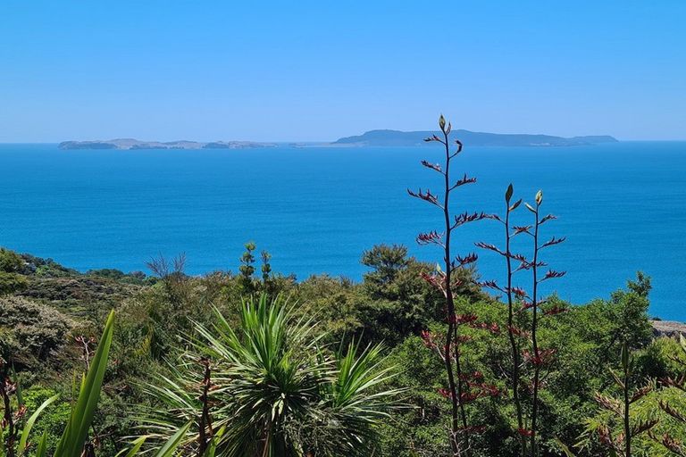 Photo of property in 525g Tuateawa Road, Tuateawa, Coromandel, 3583