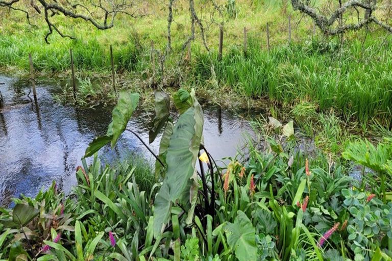 Photo of property in 114 Harris Road, Glenbervie, Whangarei, 0175