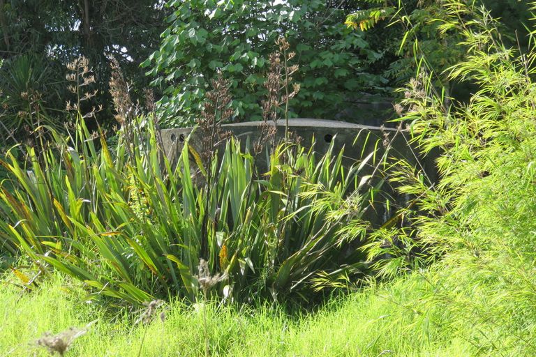 Photo of property in 1165 Waiotehue Road, Broadwood, Kaitaia, 0481