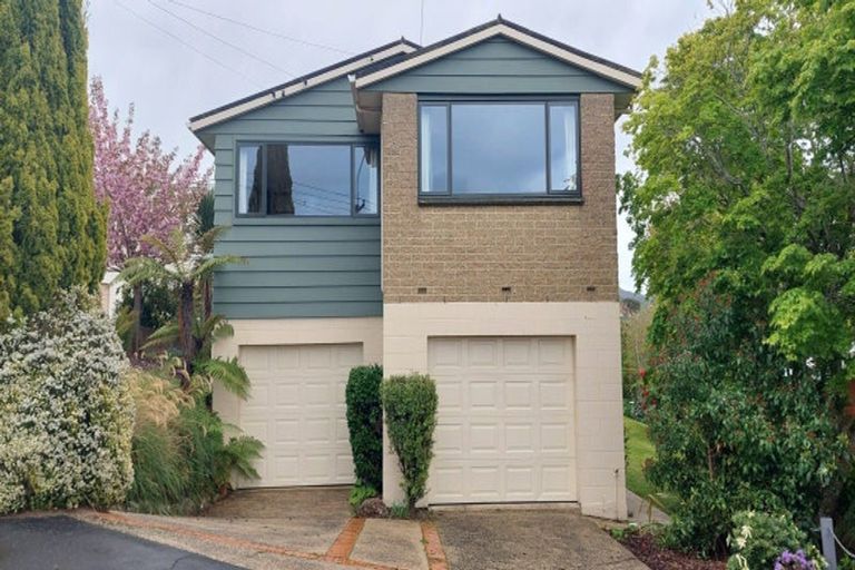 Photo of property in 135 Balmacewen Road, Wakari, Dunedin, 9010