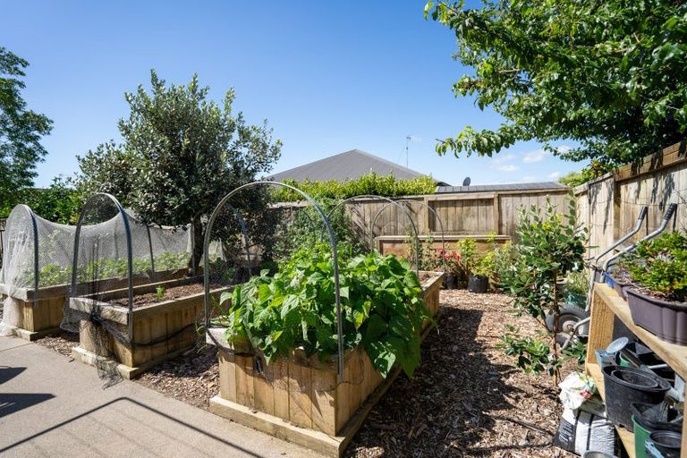 Photo of property in 6a Madison Street, Cambridge, 3434