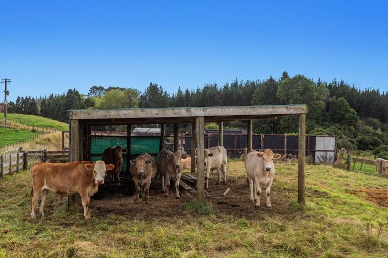 Photo of property in 1207c Stanley Road, Waimana, 3198