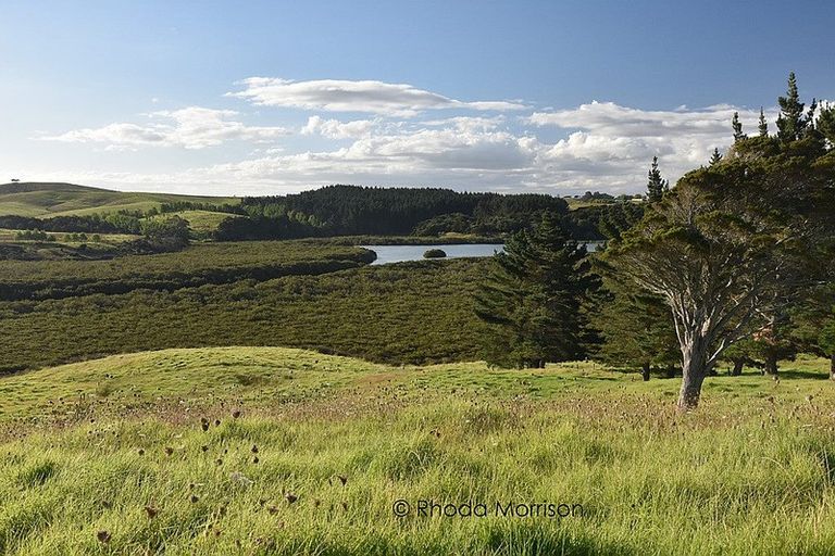 Photo of property in 21 Matahehe Lane, Tinopai, 0593