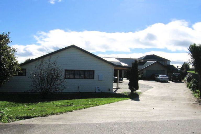 Photo of property in 419 Tremaine Avenue, Takaro, Palmerston North, 4412