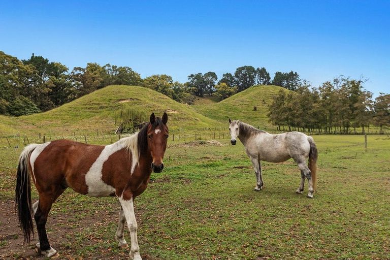 Photo of property in 3041 State Highway 30, Rotoma, Whakatane, 3192