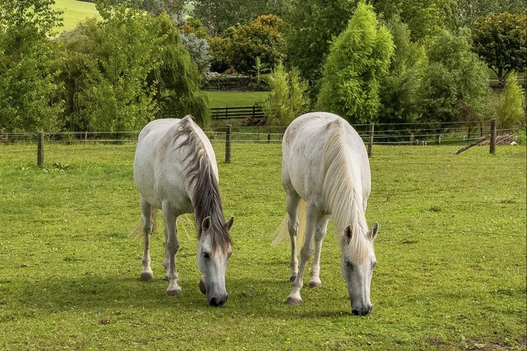 Photo of property in 39 Lara Lane, Kaiwaka, 0573