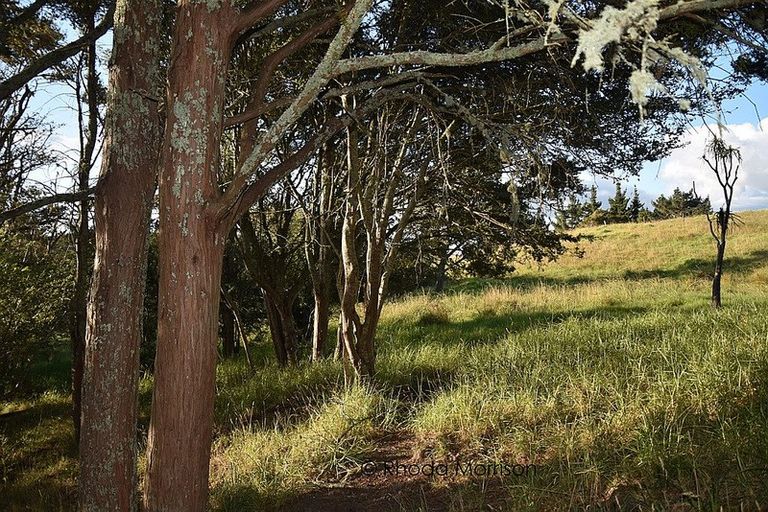 Photo of property in 21 Matahehe Lane, Tinopai, 0593