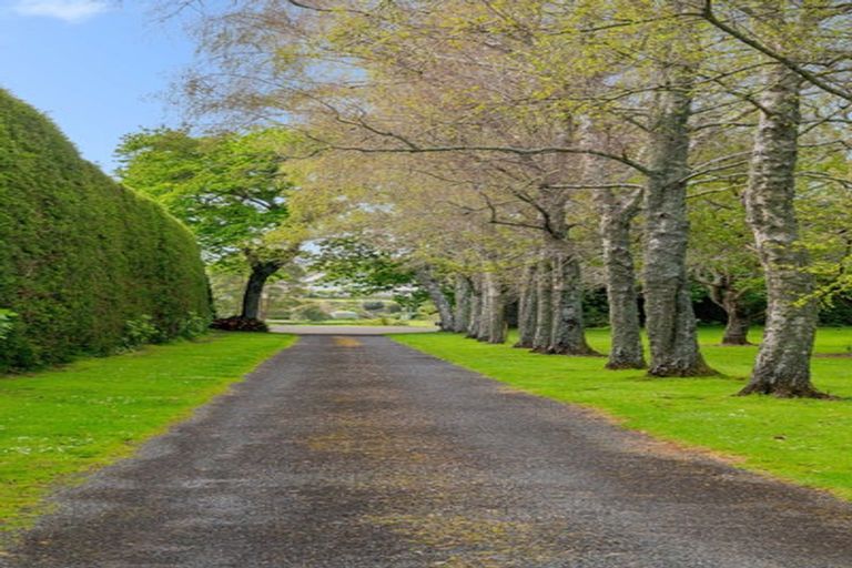 Photo of property in 137 Kayelene Place, Omokoroa, 3114