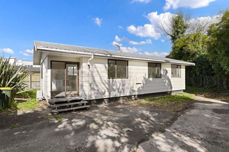 Photo of property in 73a Anglesea Street, Hamilton Central, Hamilton, 3204