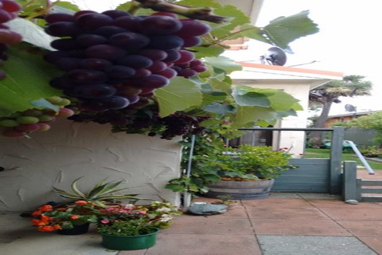 Photo of property in 2 Falcon Street, Newfield, Invercargill, 9812