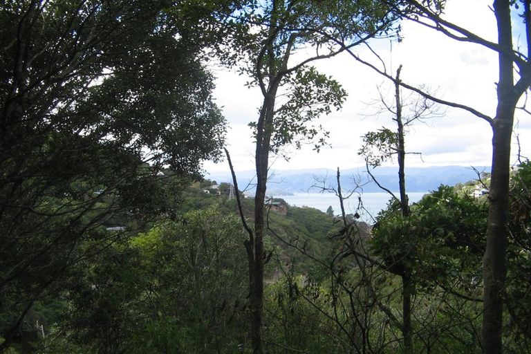 Photo of property in 53 Ngaio Gorge Road, Ngaio, Wellington, 6035