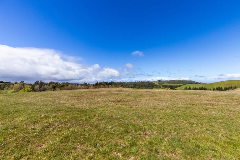 Photo of property in 31 Otutira Drive, Marotiri, Taupo, 3377