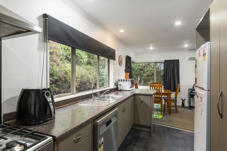 Photo of property in 91 Buckley Road, Shannon, Palmerston North, 4474