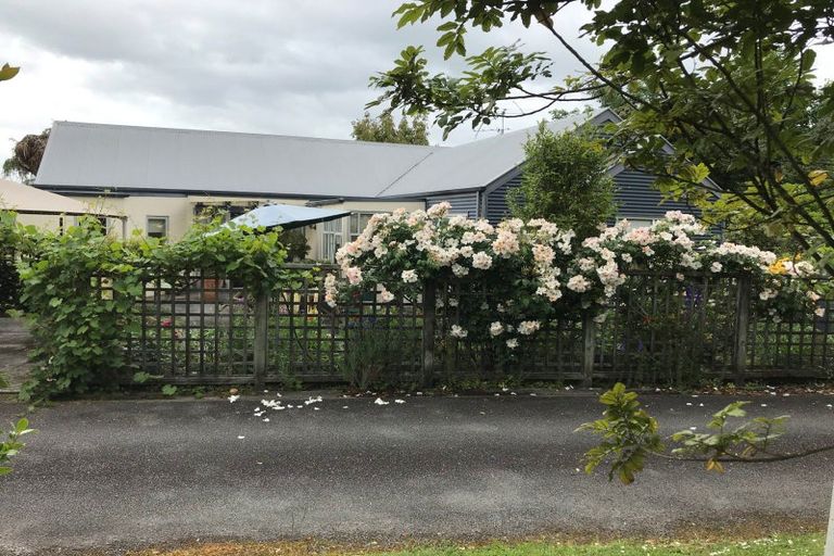 Photo of property in 41a Jordan Terrace, Lansdowne, Masterton, 5810