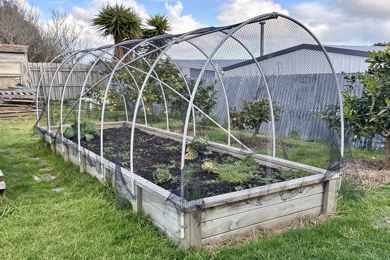 Photo of property in 29 Churchill Crescent, Tawhero, Whanganui, 4501