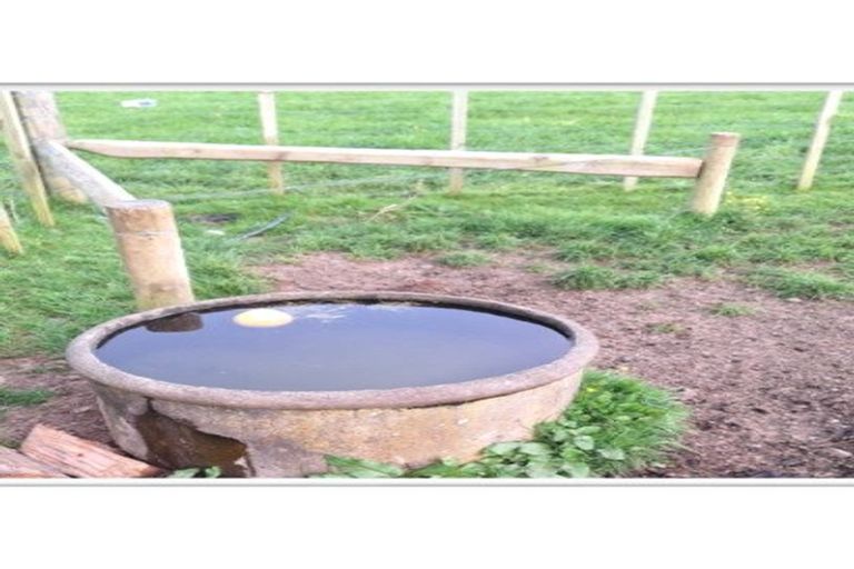 Photo of property in 161 Te Awa Road, Pohangina, Ashhurst, 4777