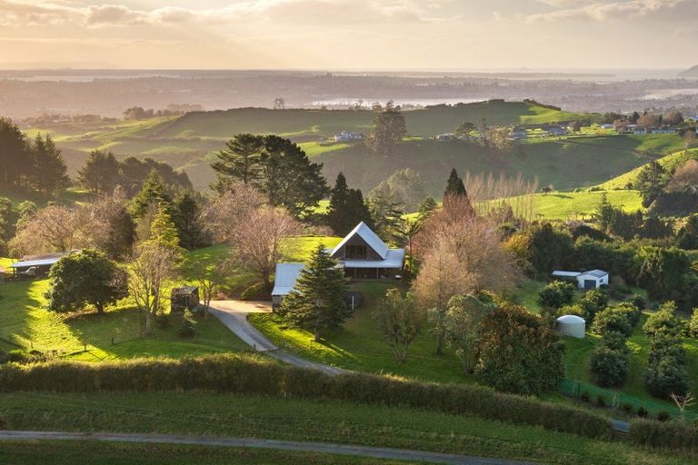 Photo of property in 80b Neewood Road, Ohauiti, Tauranga, 3173