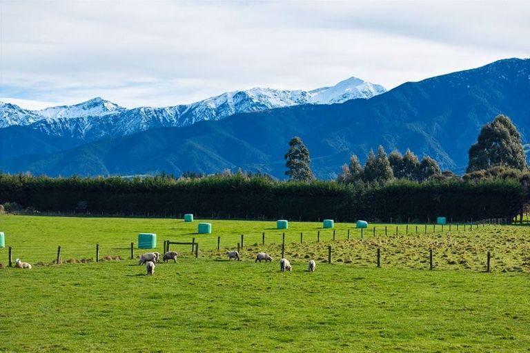 Photo of property in 238 Red Swamp Road, Kaikoura Flat, Kaikoura, 7371