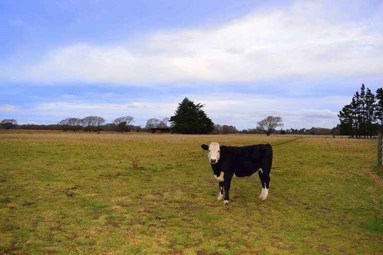 Photo of property in 227 Factory Road, Sefton, 7477