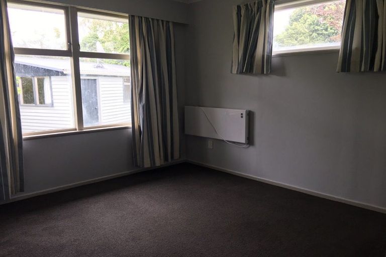 Photo of property in 49 Fitzroy Avenue, Fitzroy, Hamilton, 3206