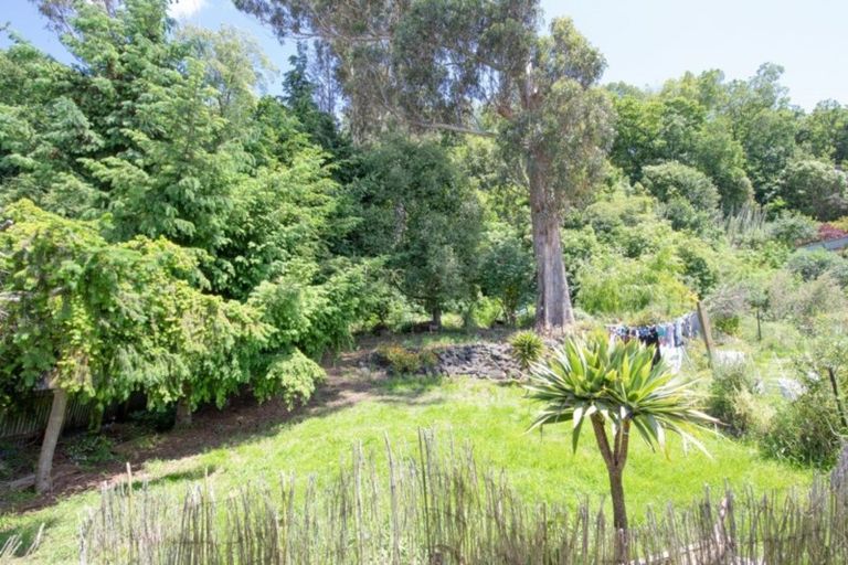 Photo of property in 97 Maitland Street, Dunedin Central, Dunedin, 9016