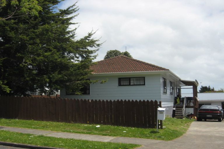 Photo of property in 121 Finlayson Avenue, Clendon Park, Auckland, 2103