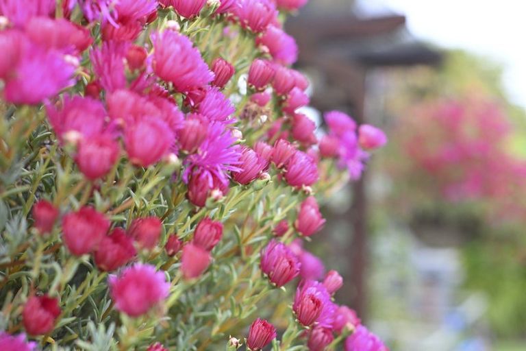 Photo of property in 201c Windsor Avenue, Parkvale, Hastings, 4122