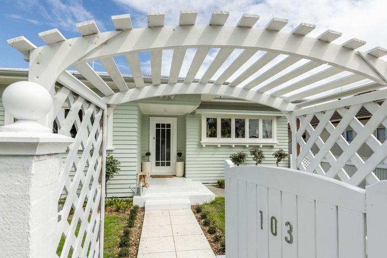 Photo of property in 103 Murdoch Road East, Akina, Hastings, 4122