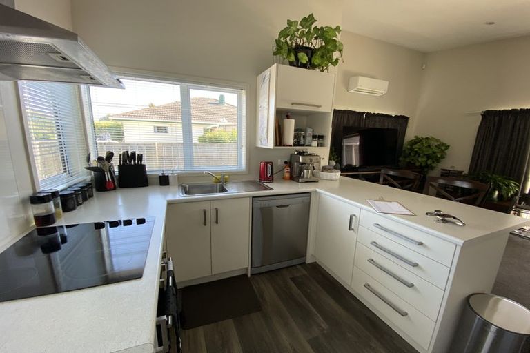 Photo of property in 38 Oxford Street, Fairfield, Hamilton, 3214