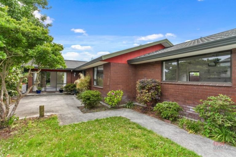 Photo of property in 24 Vernon Terrace, Hillsborough, Christchurch, 8022