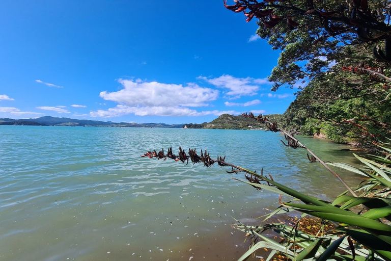 Photo of property in 1695 Wyuna Bay Road, Wyuna Bay, Coromandel, 3581