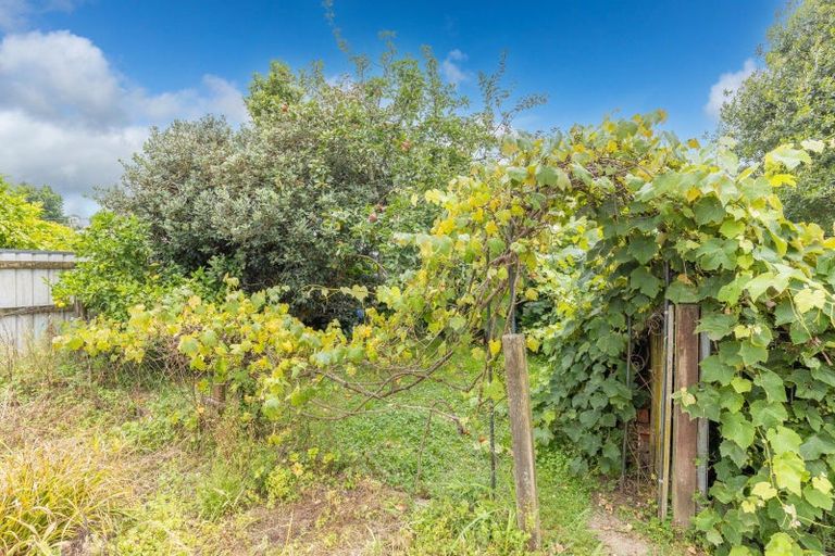 Photo of property in 52 Hinewai Street, Otorohanga, 3900