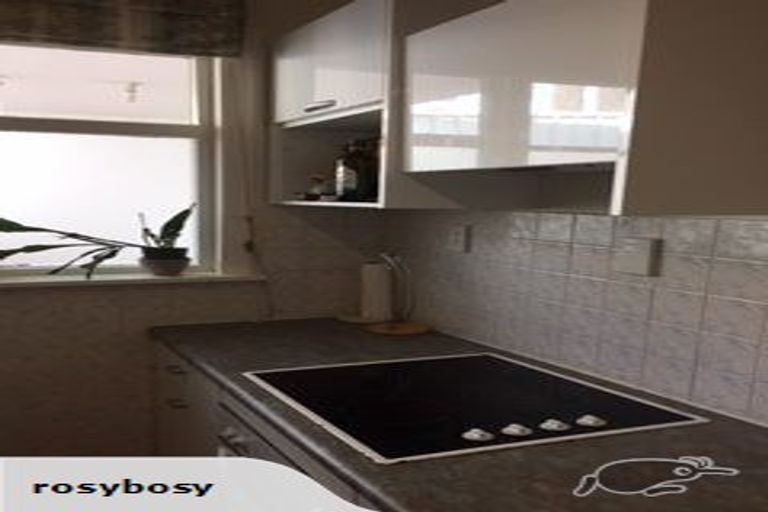 Photo of property in 87 Majoribanks Street, Mount Victoria, Wellington, 6011