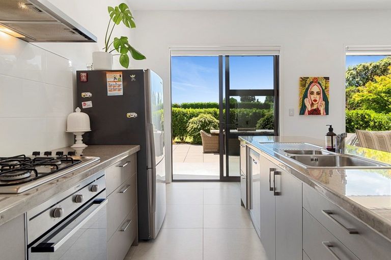 Photo of property in 20 Plane Tree Lane, Tauriko, Tauranga, 3110