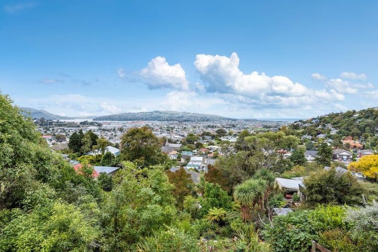 Photo of property in 53 Morrison Street, Caversham, Dunedin, 9012