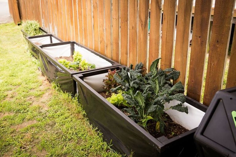 Photo of property in 8a Tarawera Road, Johnsonville, Wellington, 6037