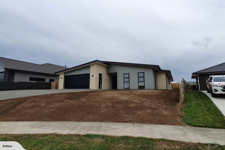 Photo of property in 39 Barry Curtis Place, Levin, 5510