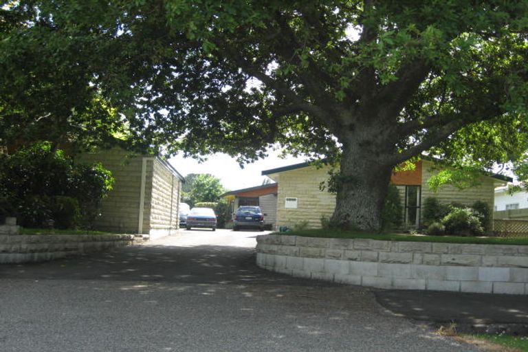 Photo of property in 22 Cambridge Street, Pahiatua, 4910