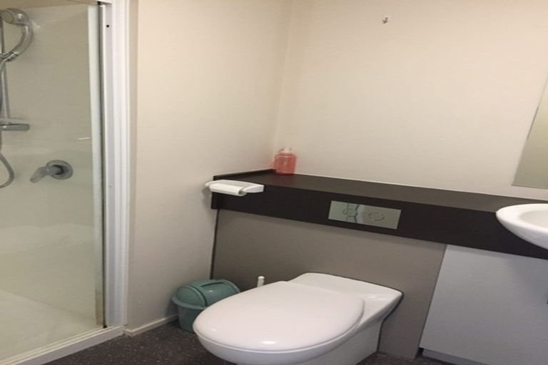Photo of property in The Peak Apartments, 401/170 Taranaki Street, Te Aro, Wellington, 6011