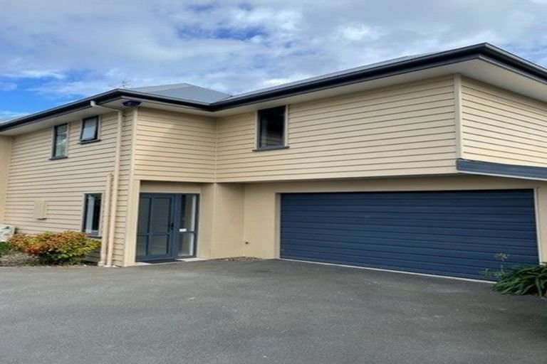 Photo of property in 25b Packe Street, Edgeware, Christchurch, 8013