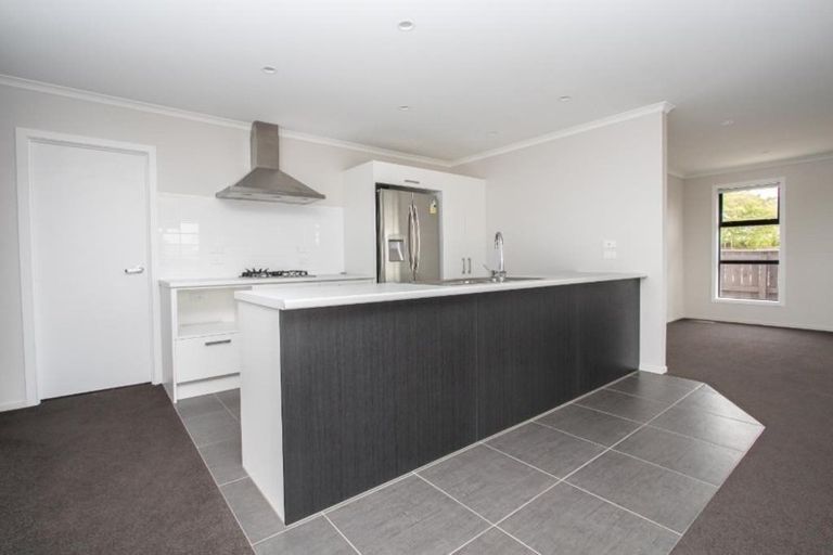 Photo of property in 41 Ladeira Place, Fitzroy, Hamilton, 3206