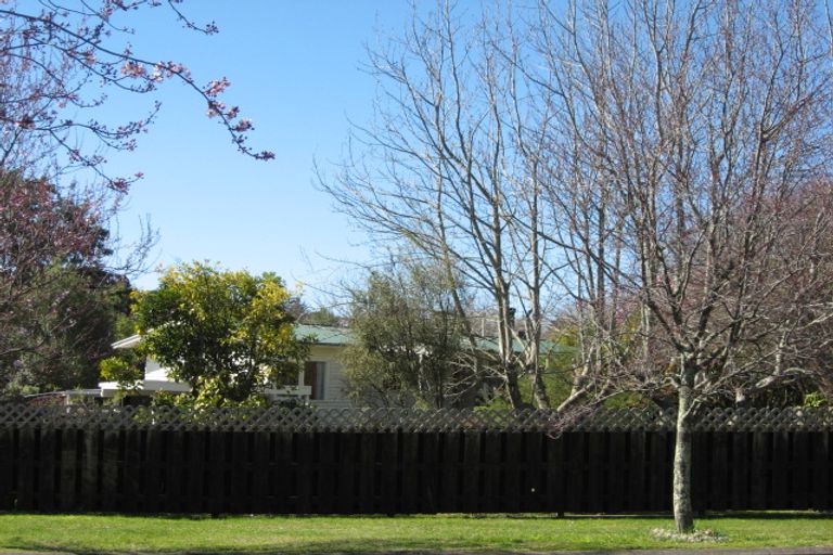 Photo of property in 37 Plassey Street, Havelock North, 4130