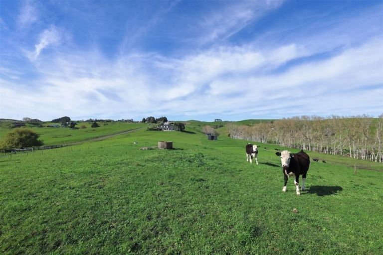 Photo of property in 283a Rotowaro Road, Huntly, 3771