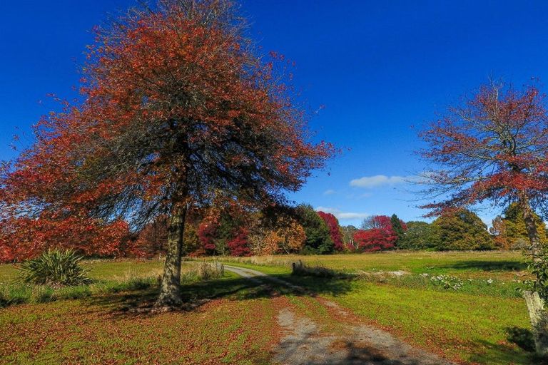 Photo of property in 21 Mangatete Road, Waikite Valley, Rotorua, 3077