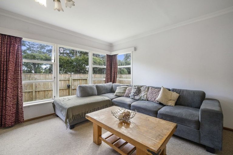 Photo of property in 36 Cambridge Street, Levin, 5510