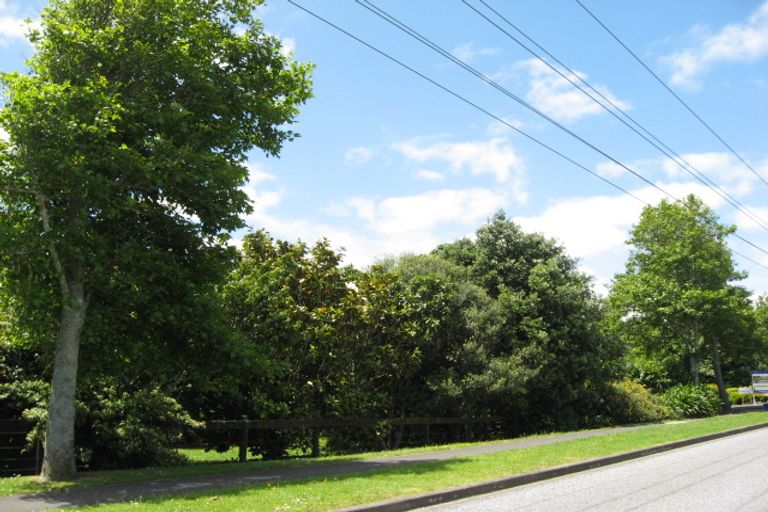 Photo of property in 14 Alexander Court, Pukekohe, 2120