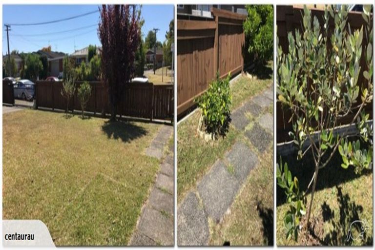 Photo of property in 56 Wake Street, Chartwell, Hamilton, 3210