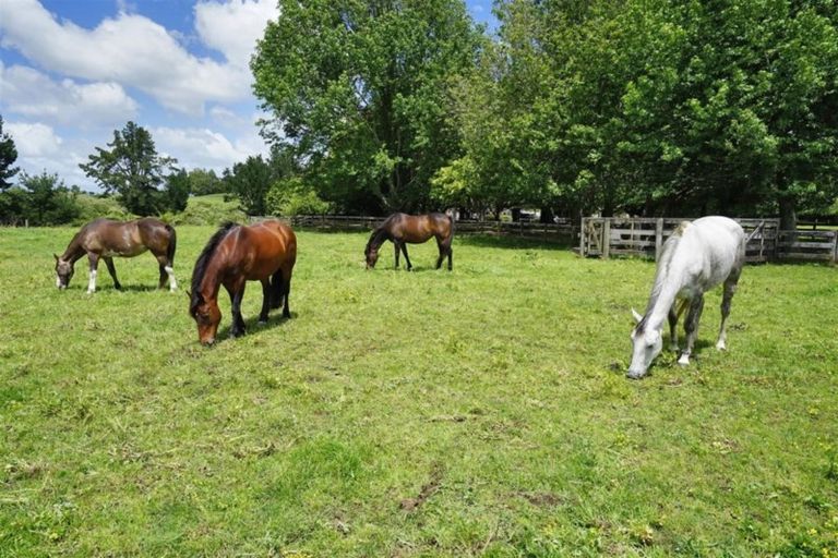 Photo of property in 10 Oakshott Road, Ngahinapouri, Te Awamutu, 3876