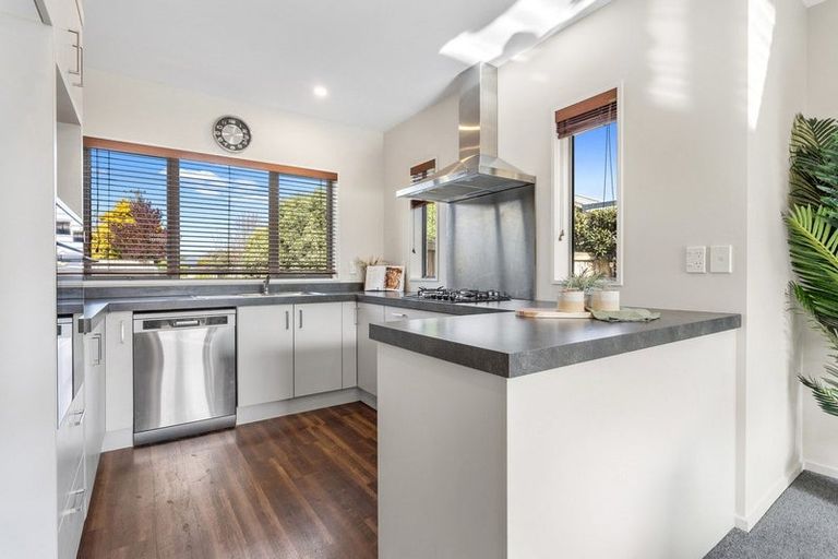 Photo of property in 47 Birchfield Avenue, Dallington, Christchurch, 8061