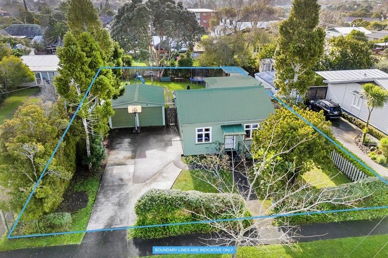 Photo of property in 19 Rimu Street, New Lynn, Auckland, 0600